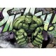 A4Hulk1 Vafa Hulk